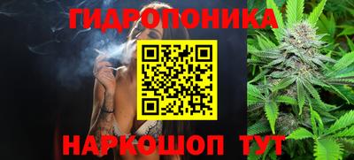 гидра Кунгур