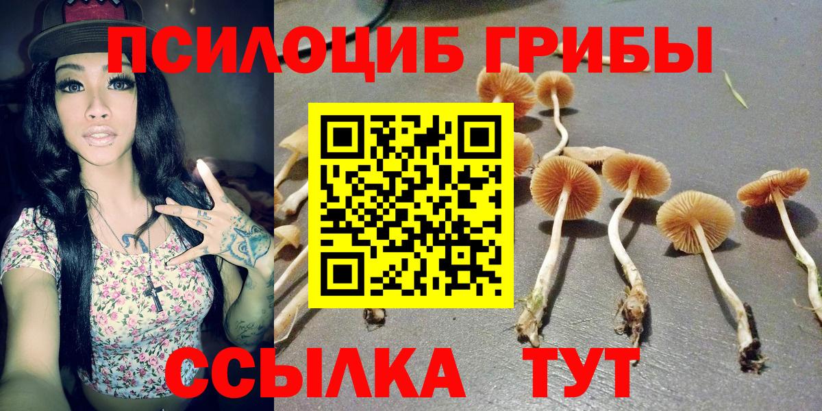 Галлюциногенные грибы ЛСД Владивосток