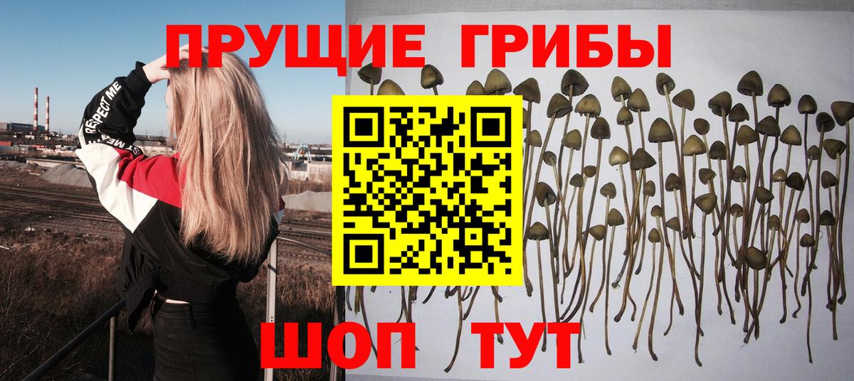 Псилоцибиновые грибы прущие грибы  Вход с VPN  Владивосток 